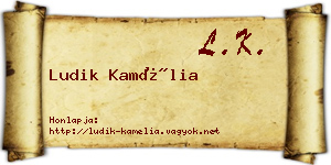 Ludik Kamélia névjegykártya